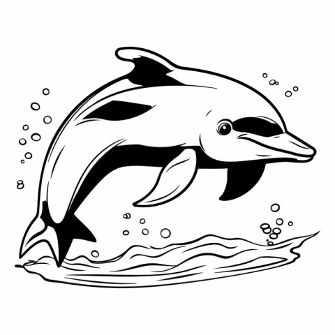 Dolphin jumping out of water. Black and white vector illustratio