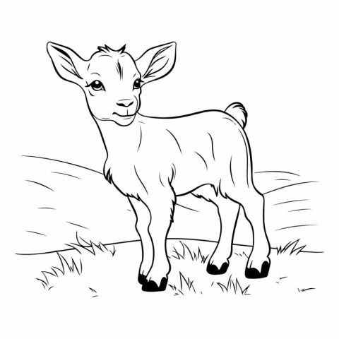 Black and white vector illustration of a goat standing on the gr