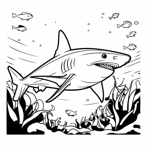 Shark in the water. Black and white vector illustration for colo