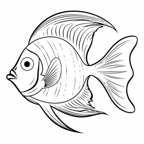 Illustration of a fish on a white background.