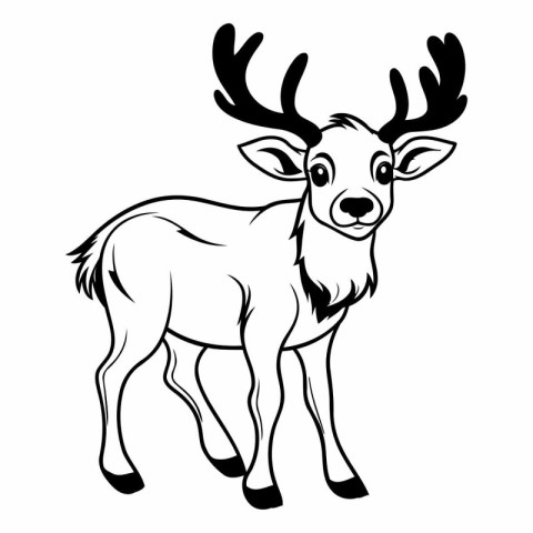 Deer - Black and White Vector Illustration Isolated on White Bac