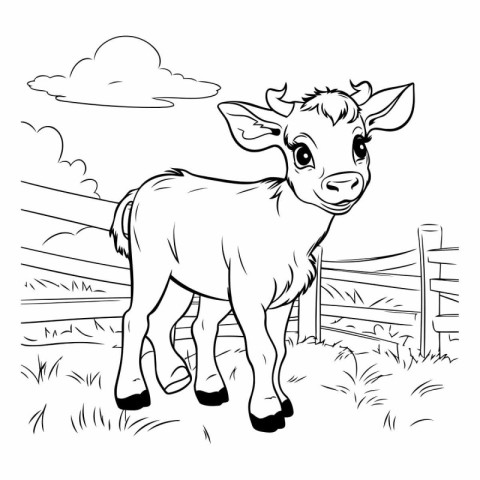 Cute baby calf on the meadow for coloring book.