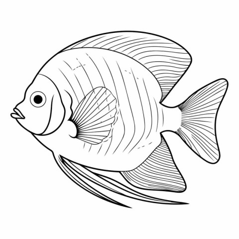 Black and white vector illustration of a tropical fish. isolated