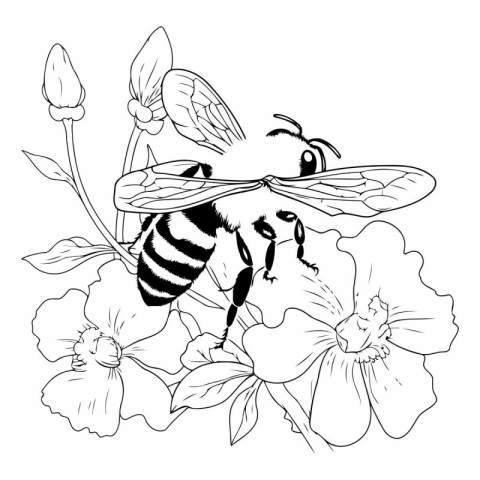 Honey bee on a flower. Black and white drawing.