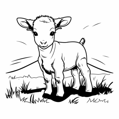 Vector image of a lamb on a meadow. Black and white illustration