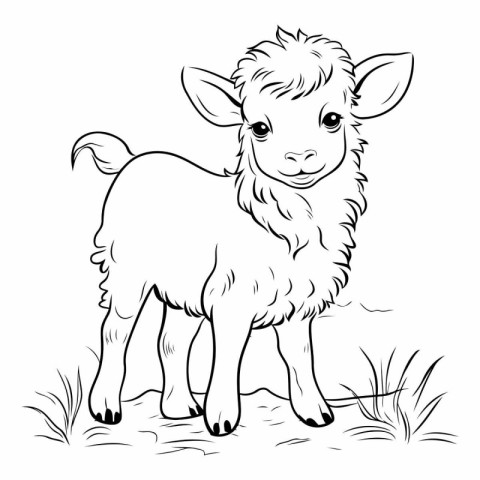 Cute little lamb black and white vector illustration for colorin