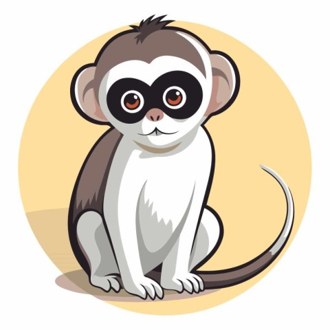 Cute little monkey isolated on a white background.