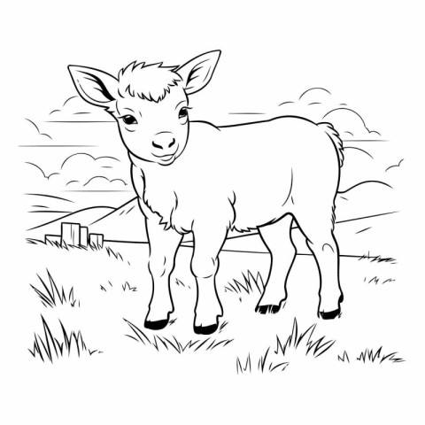 Cute baby goat on the meadow. Coloring book for children