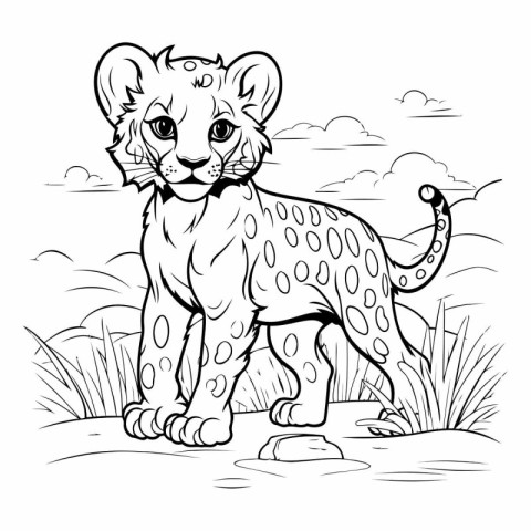 Cheetah in the field for coloring book.