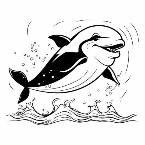 Dolphin jumping out of the water. black and white vector illustr