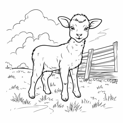 Vector image of a sheep in the field. Black and white illustrati