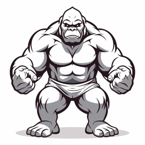 Vector illustration of a gorilla ready to fight isolated on whit