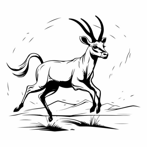 Gemsbok antelope. black and white vector illustration.