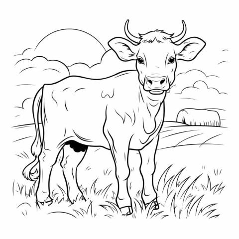 Cow on the field. Black and white vector illustration for colori