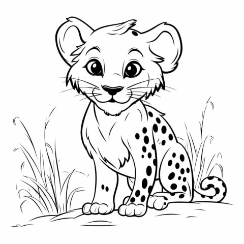 Cheetah sitting on the grass for coloring book