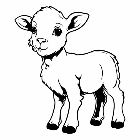 Vector image of a cute lamb on a white background. Farm animal.