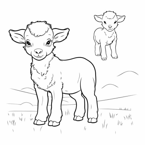 Coloring book for children: a cute little lamb standing in the f