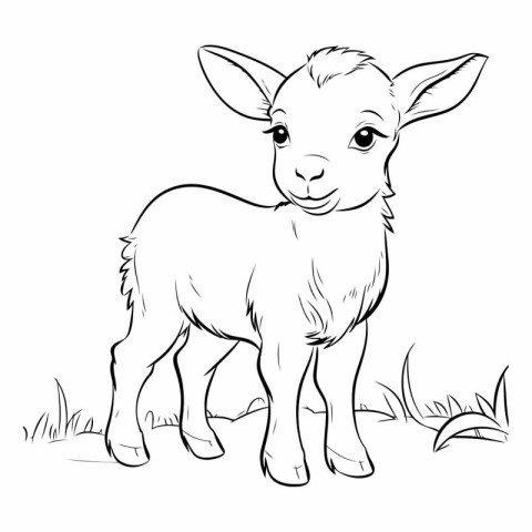 Vector image of a cute little lamb on the meadow. Hand drawn ill