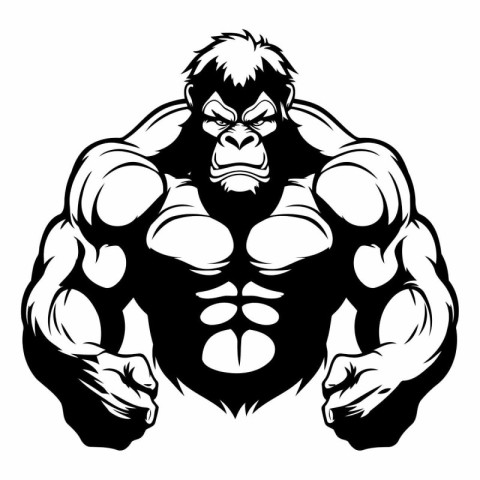 gorilla strong bodybuilding vector illustration - black and whit