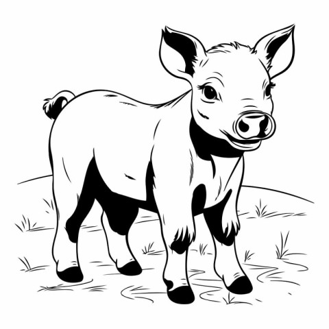 black and white vector illustration of a pig standing on a meado