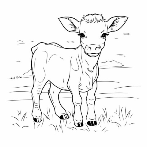 Coloring book for children. Cute little calf in the field.