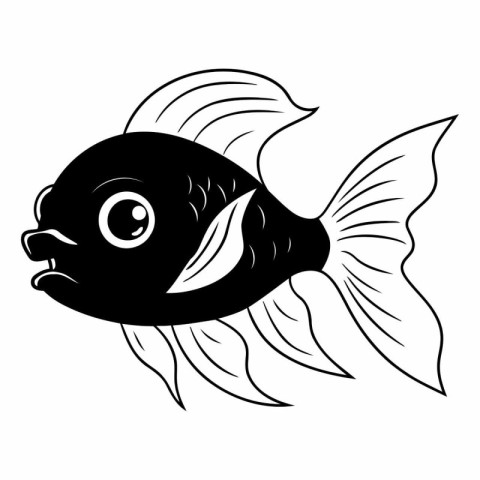 Black and white fish isolated on a white background.