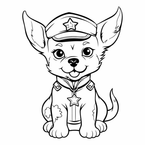 Chihuahua dog in a marine uniform.