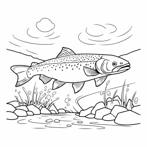 Vector illustration of a trout fish on the river bank. Coloring