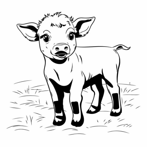 Black and white vector illustration of a cute calf standing in t