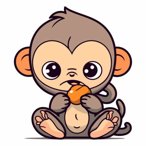 Cute little monkey sitting and eating an orange.