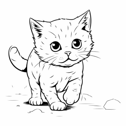 Vector illustration of a cat on a white background. Cute kitten.