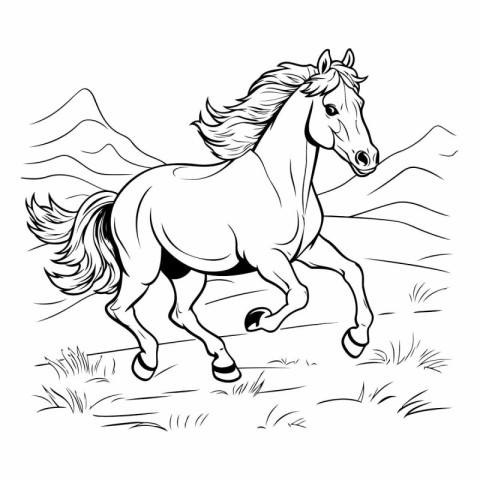 Horse running on the meadow. Black and white vector illustration