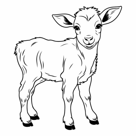 Black and white vector image of a goat standing on a white backg