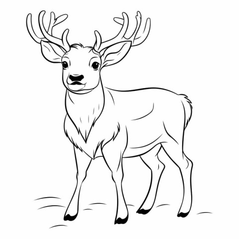 Deer. Black and white vector illustration for coloring book or p