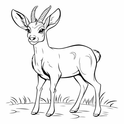 Black and White Cartoon Illustration of Antelope Animal for Colo