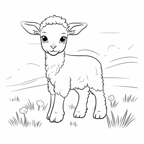 Vector image of a cute little lamb on a meadow. Coloring book fo