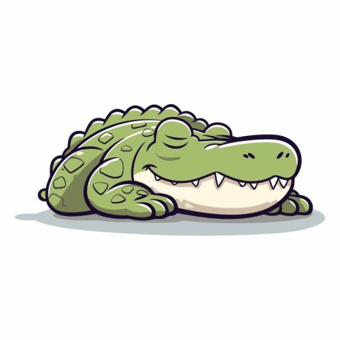 Crocodile isolated on a white background.