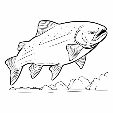 Vector illustration of a salmon on a white background. Coloring