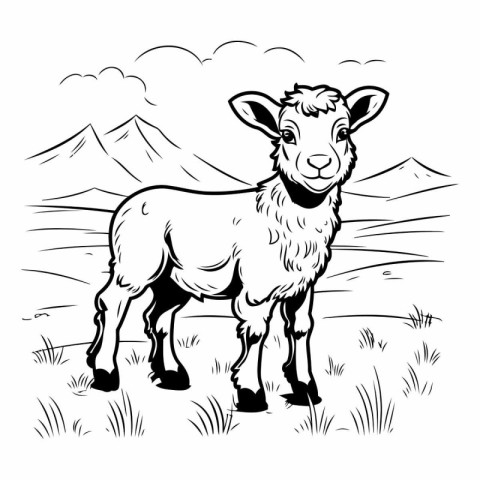 Sheep black and white vector illustration on the background of m