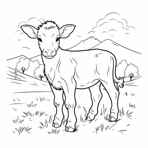 Calf on the meadow. Black and white vector illustration.