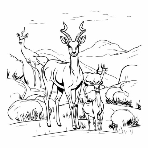 Antelope family. Black and white vector illustration for colorin