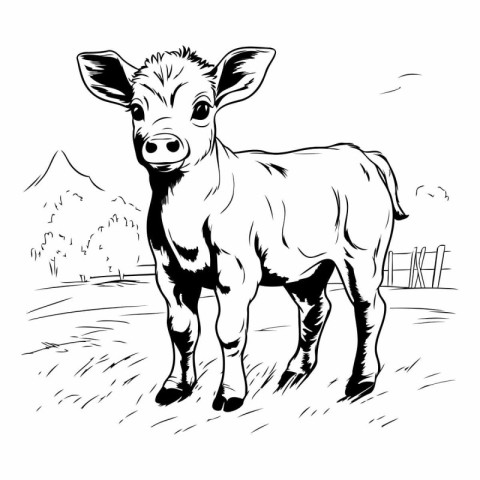 black and white vector illustration of a cow standing in the fie