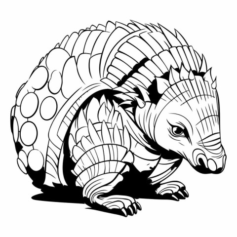 vector image of an armadillo isolated on a white background.