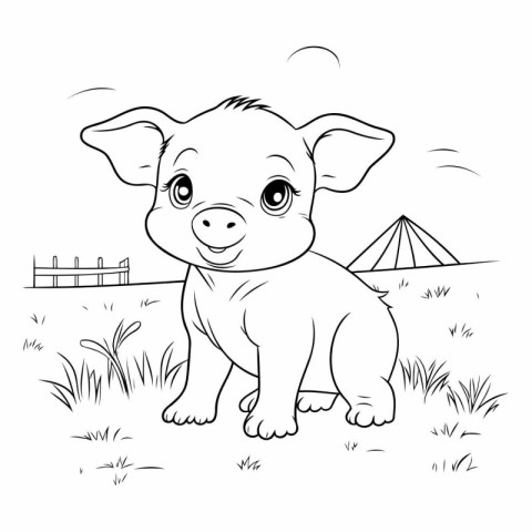 Coloring page for kids. Cute pig stands in the meadow