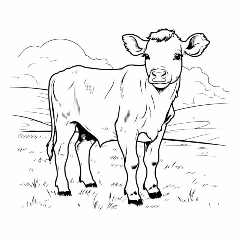 Cow on the meadow. Black and white vector illustration for color