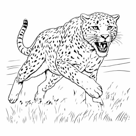 Cheetah running in the grass. Hand drawn vector illustration.