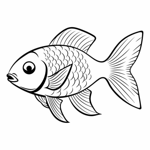 Illustration of a fish on a white background.