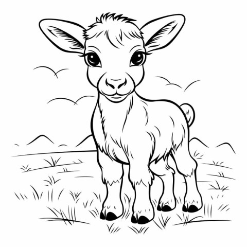 Vector illustration of a cute baby goat on a meadow. Farm animal