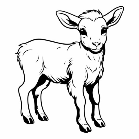 Vector image of a goat. Black and white illustration of a goat.