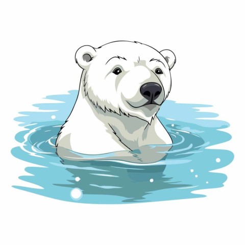 Polar bear swimming in the water of a polar bear.